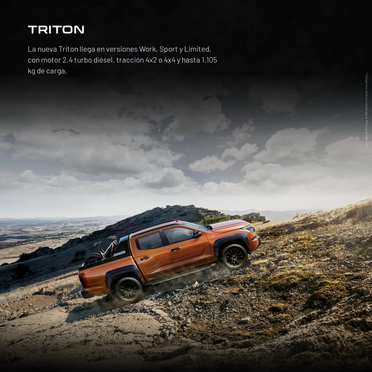Triton en ladera